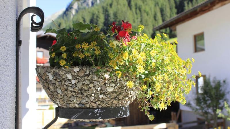 Homestay Blick Zum Wasserfall Sankt Leonhard im Pitztal